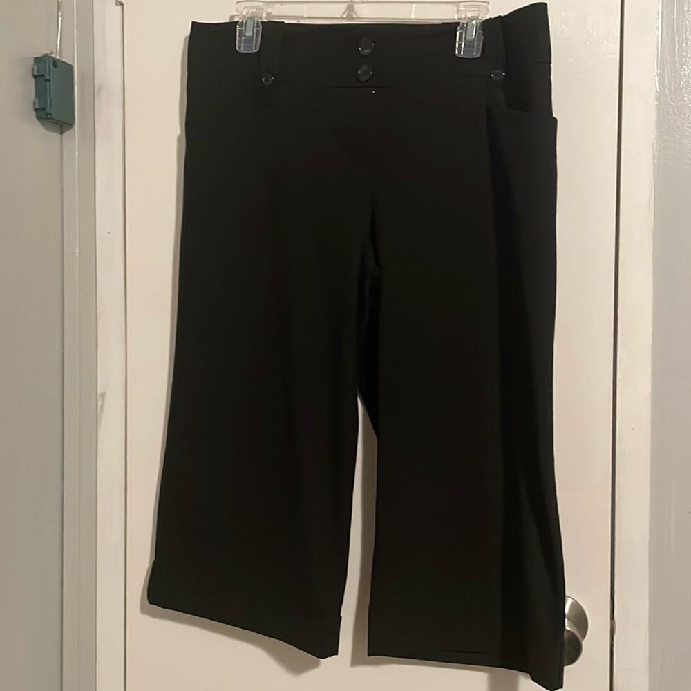 The Limited Capri dress pants